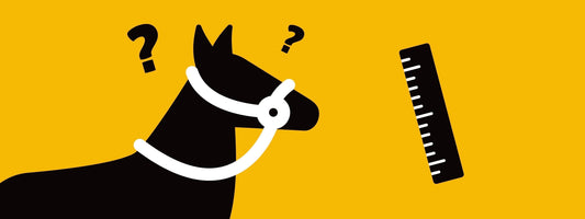 Which hackamore fits your horse?