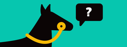 The war bridle: relationship-builder or nasty bit?