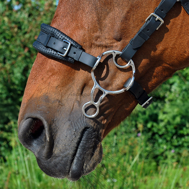 Barefoot-style hackamore shanks