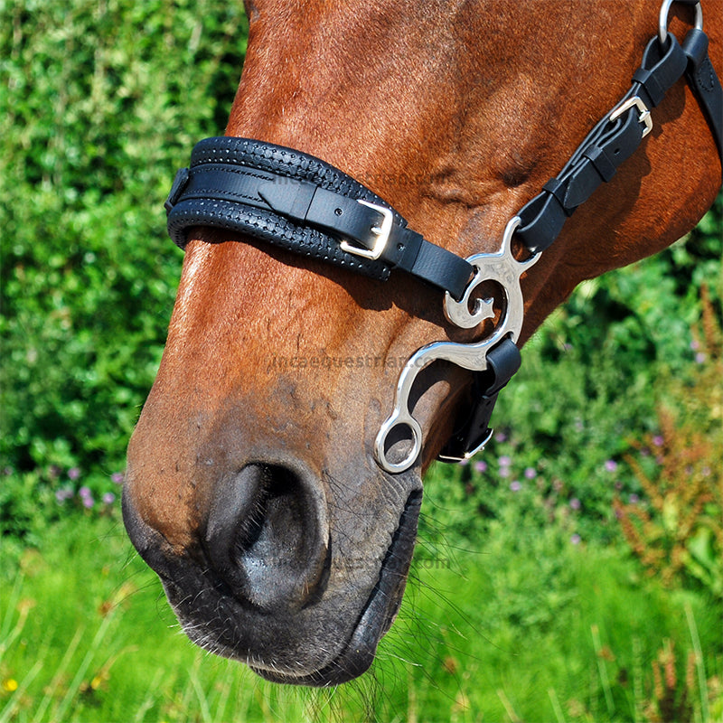 Baroque hackamore shanks