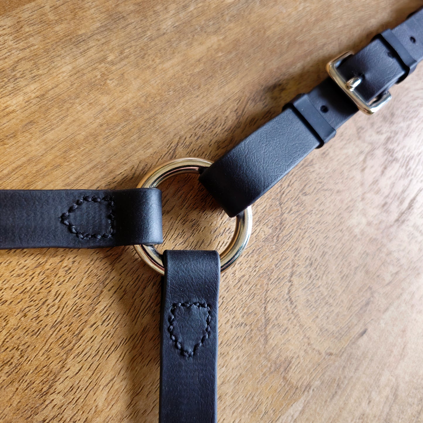 Hackamore bitless bridle