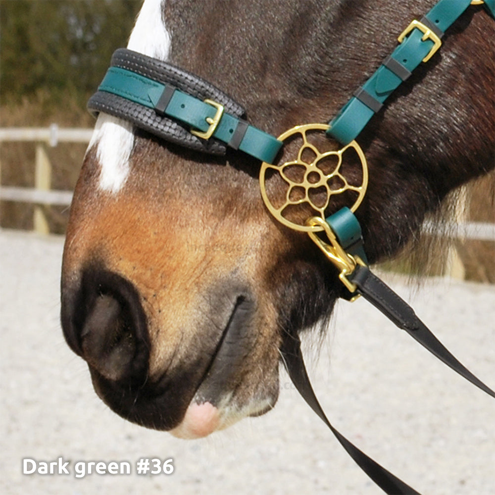 Noseband set (custom order)