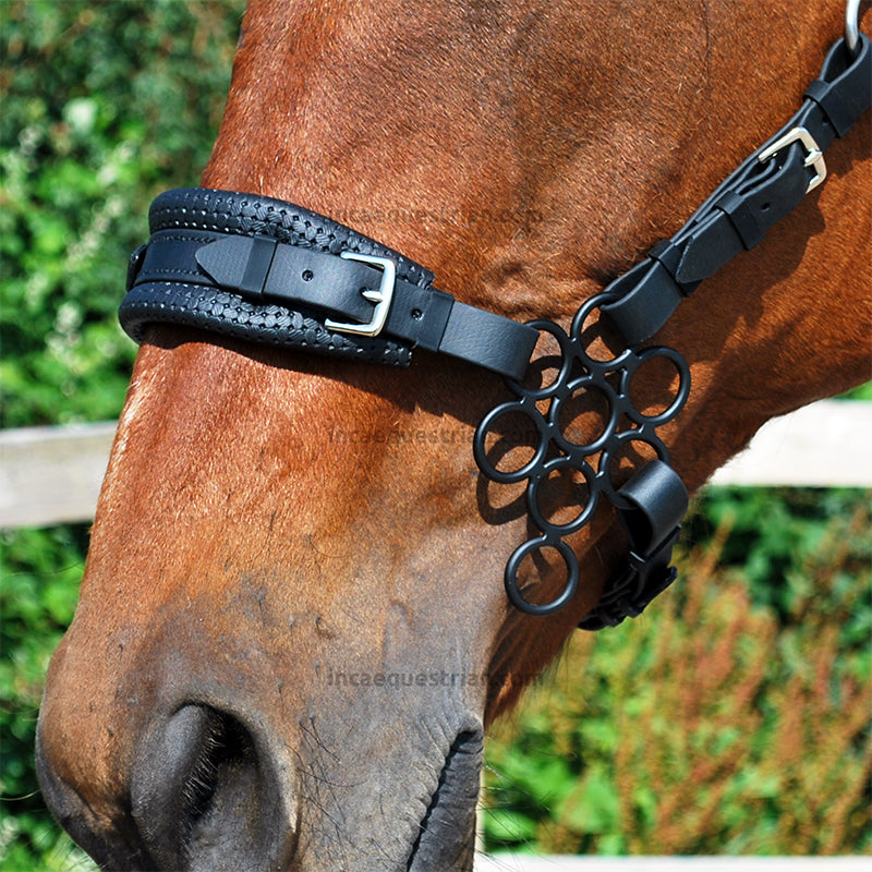Flower hackamore shanks