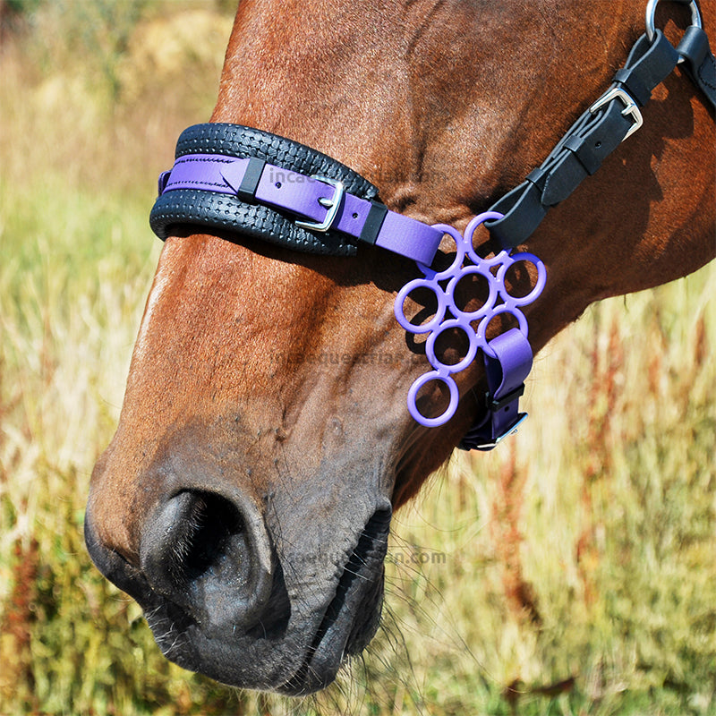 Flower hackamore shanks