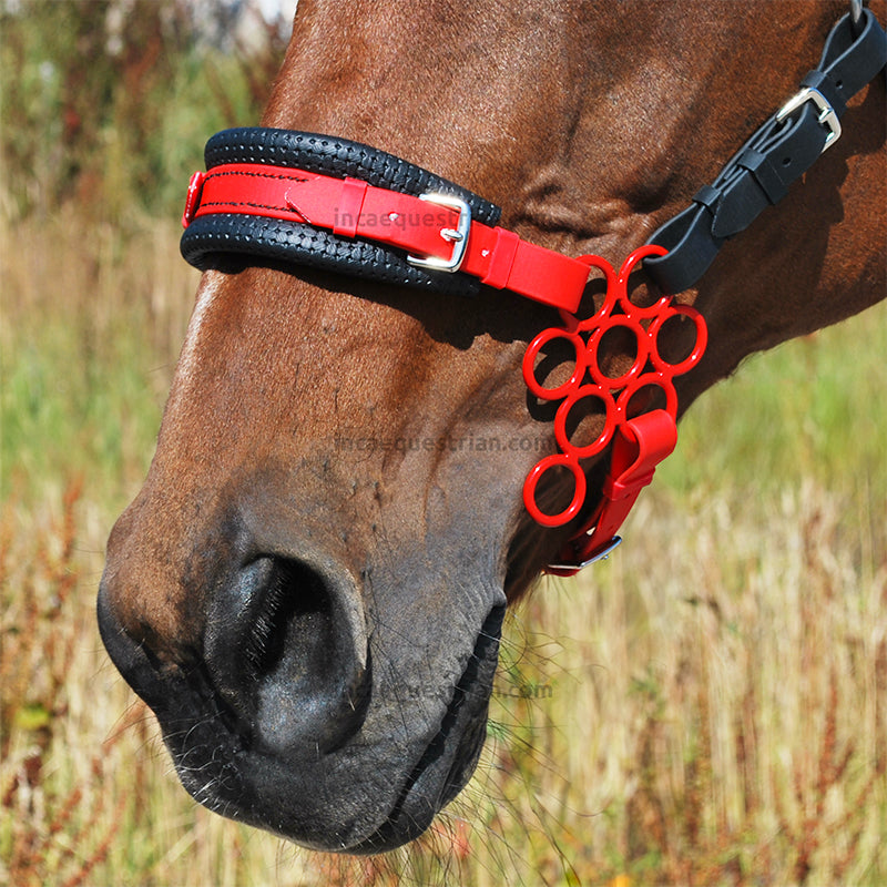 Flower hackamore shanks