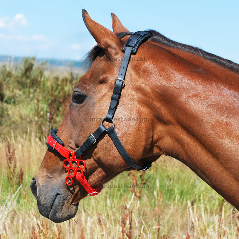 Colour Flower hackamore noseband