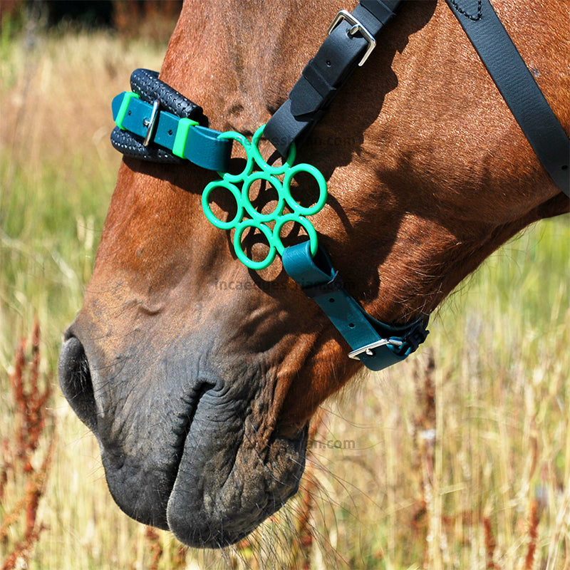 Flower hackamore shanks
