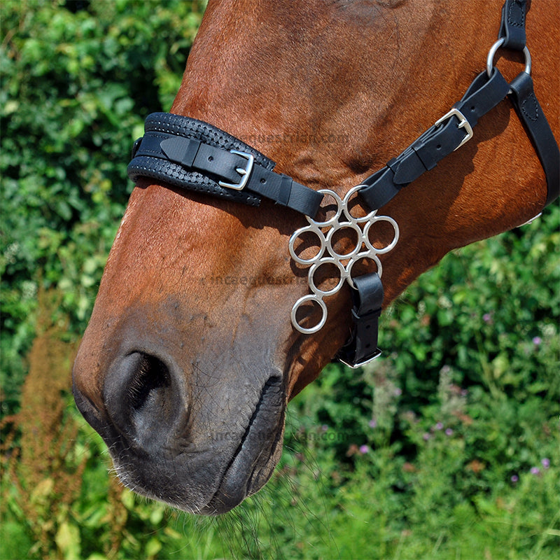 Hackamore noseband set