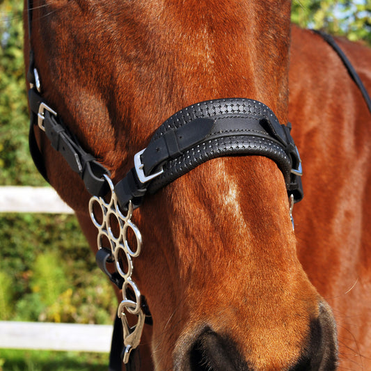 Hackamore noseband set