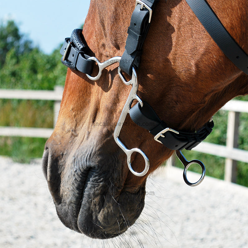 Hackamore noseband set
