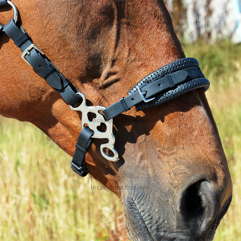 Love hackamore shanks