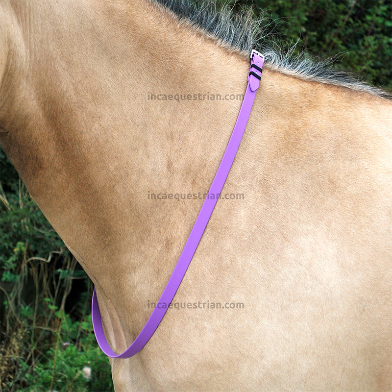 Neck strap