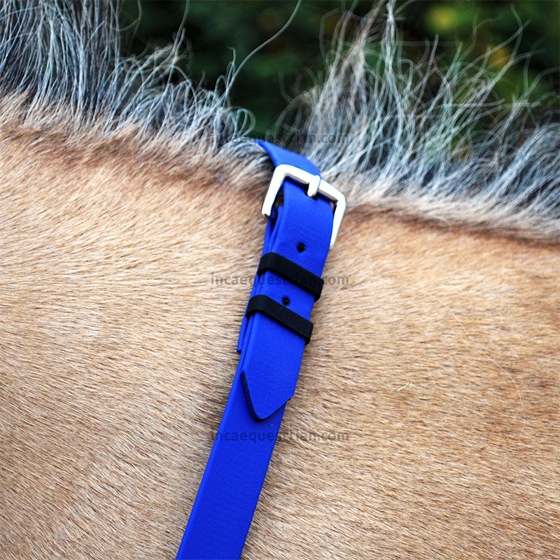 Neck strap