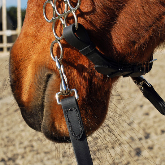 Reins