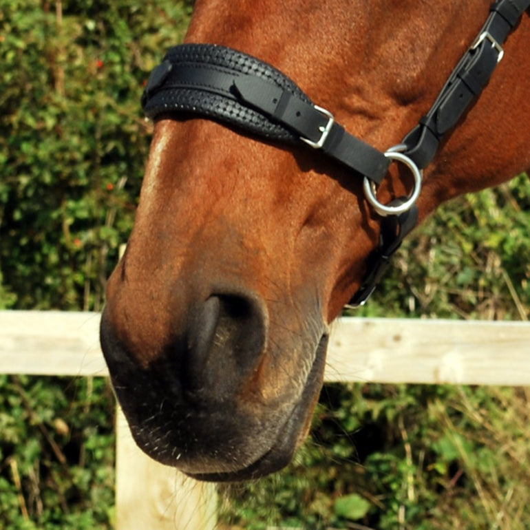 Sidepull noseband set