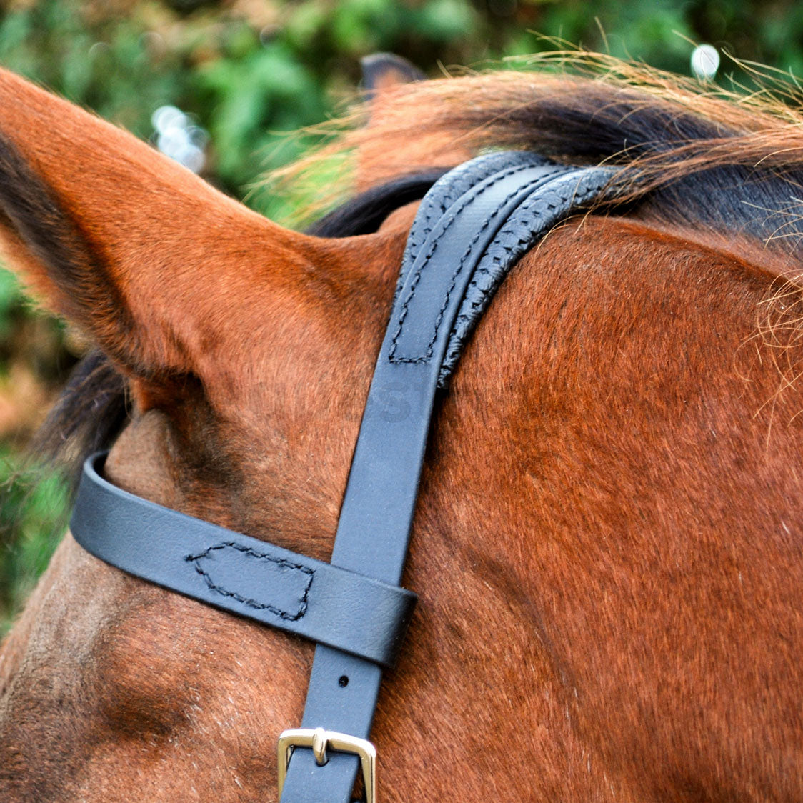 Sidepull Bitless Bridle