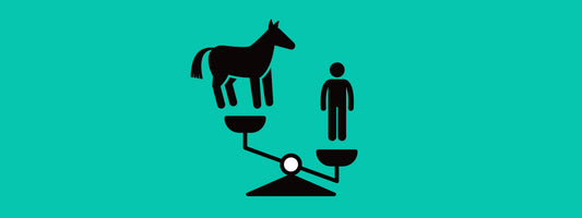 What is ethical horsemanship?