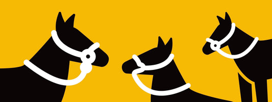 Introduction to hackamore types