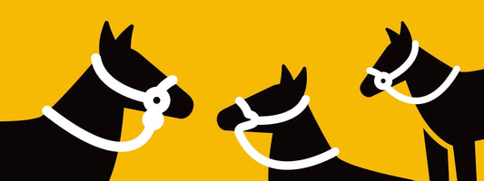 Introduction to hackamore types