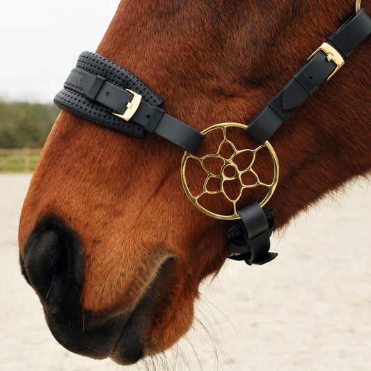 How to find your horse's noseband size