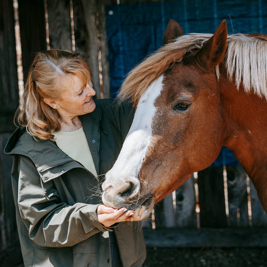 What is ethical horsemanship?