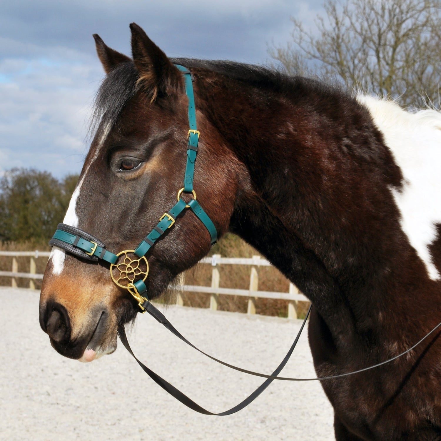 Custom tack
