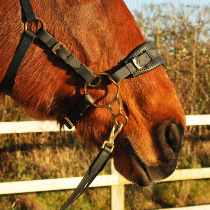 Barefoot-style hackamore shanks