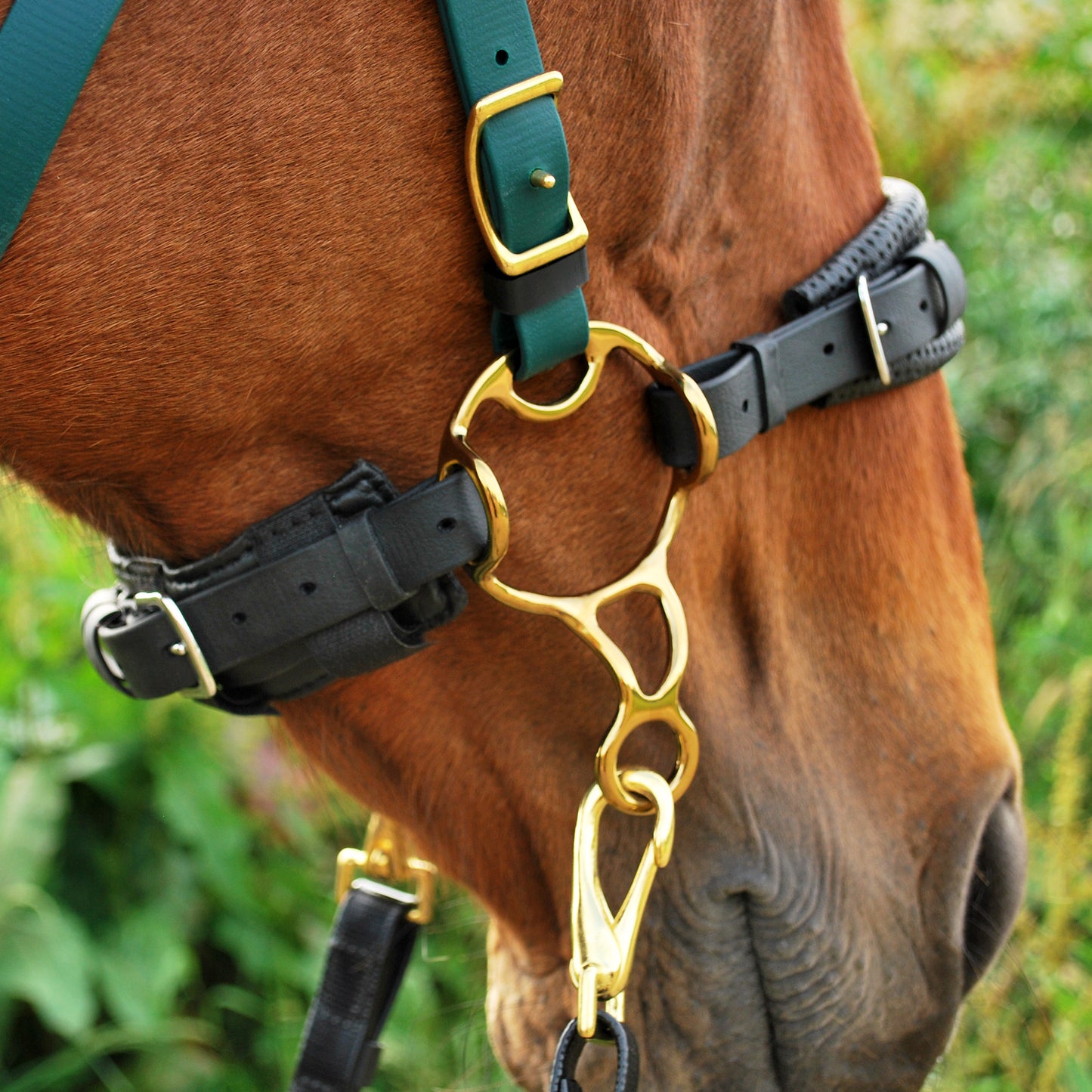 Barefoot-style hackamore shanks