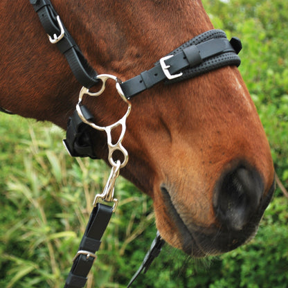 Barefoot-style hackamore shanks