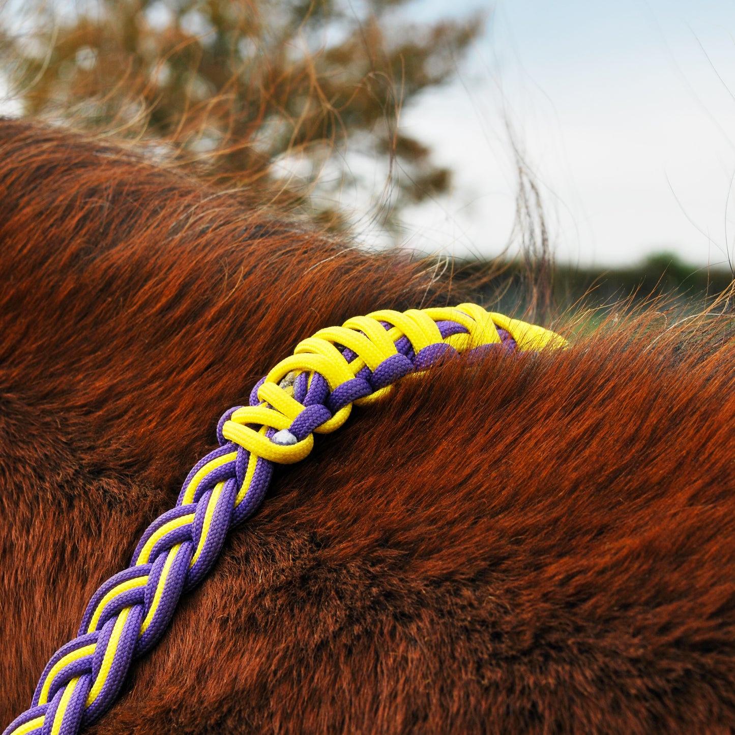 Braided paracord neckrope (custom order)