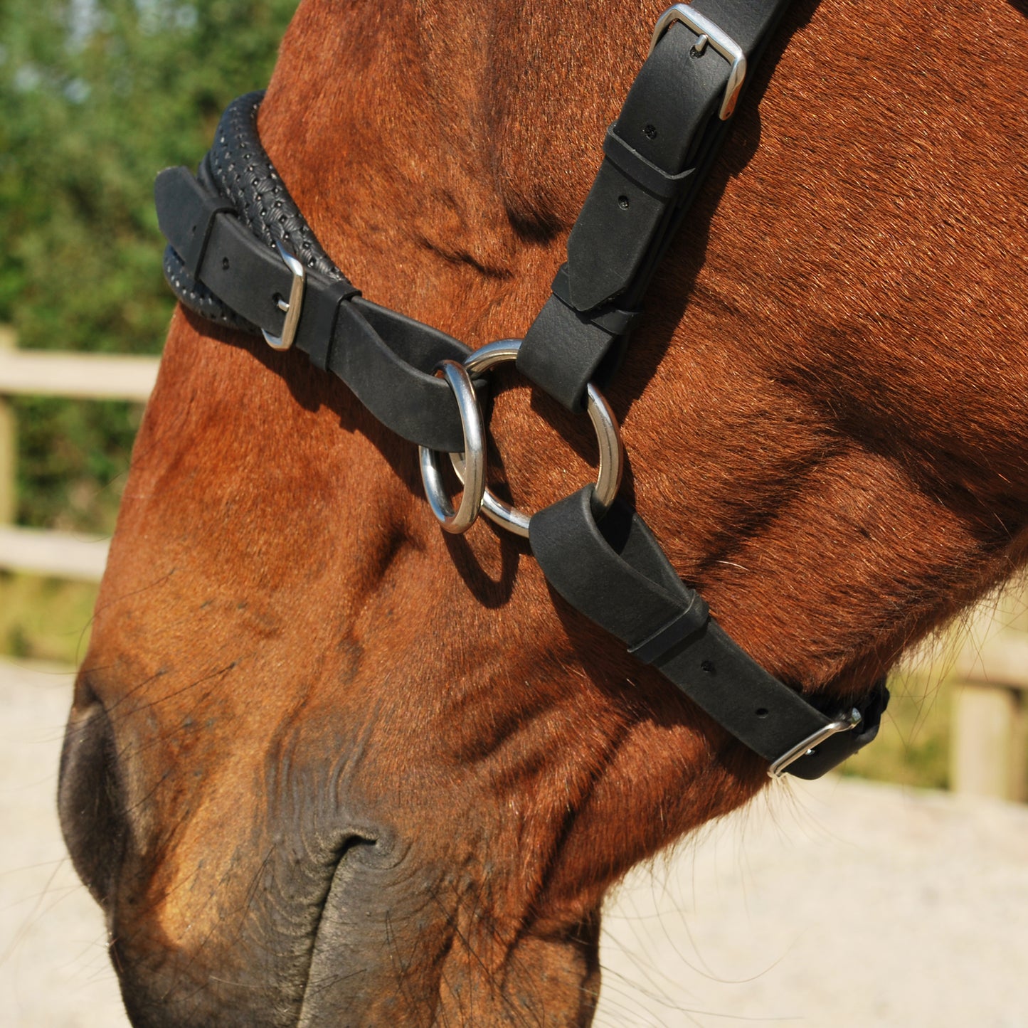 Sidepull noseband (BioThane)