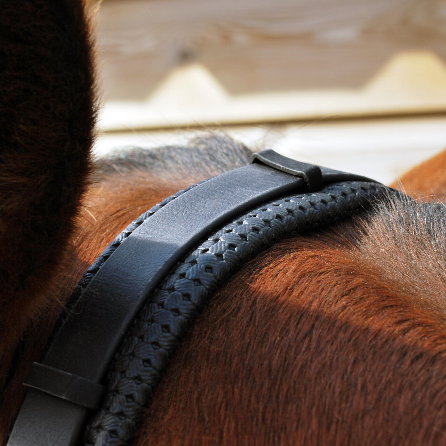 Hackamore bridle (BioThane)