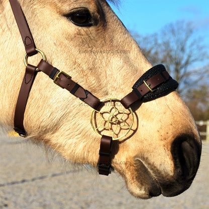 Jasmine hackamore shanks