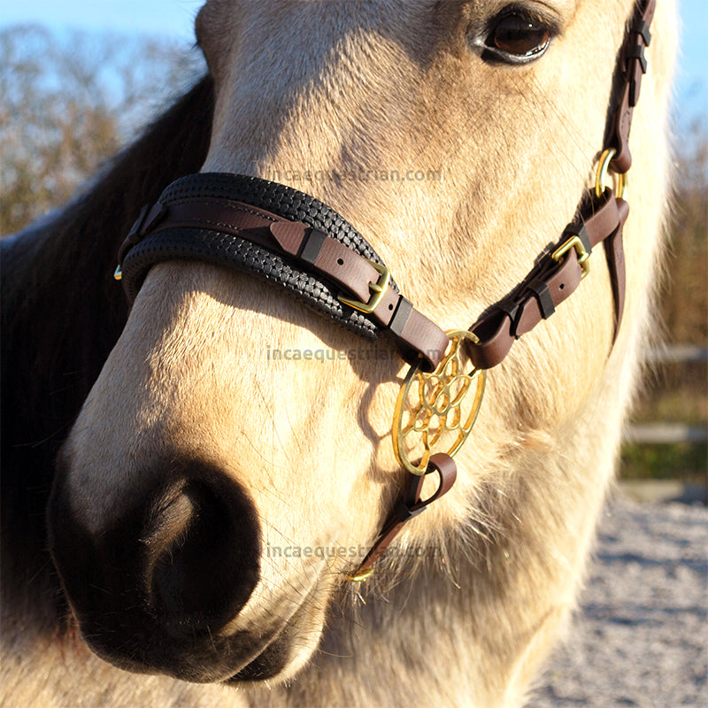 Hackamore bitless bridle