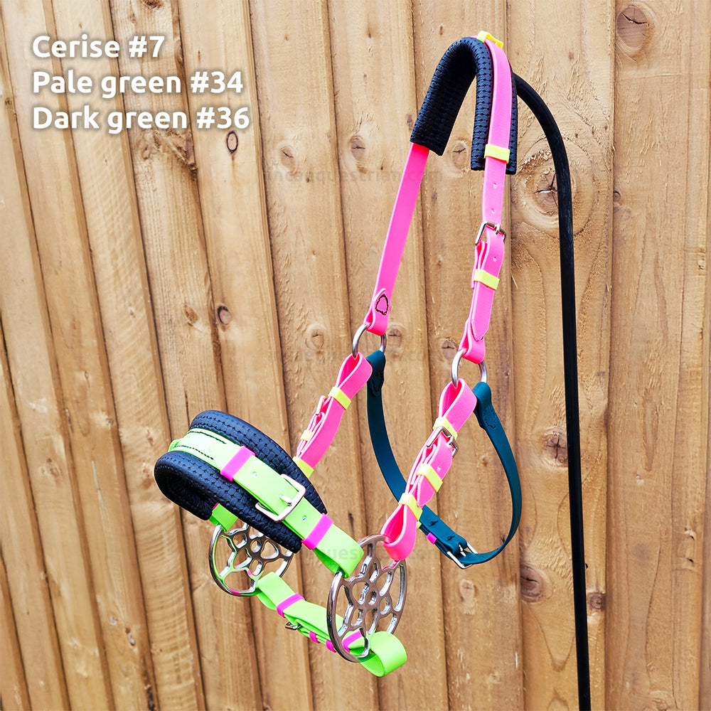 Bitless bridle (custom order)