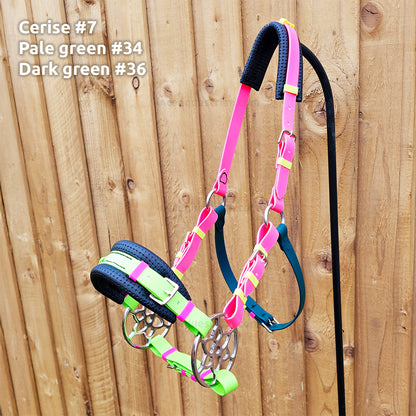 Bitless bridle (custom order)