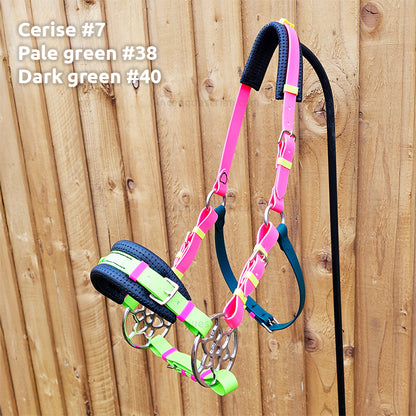 Bitless bridle (custom order)