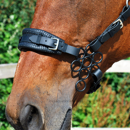 Flower hackamore shanks