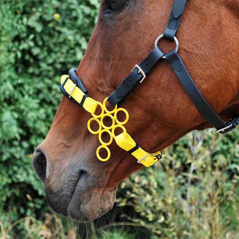 Colour Flower hackamore noseband