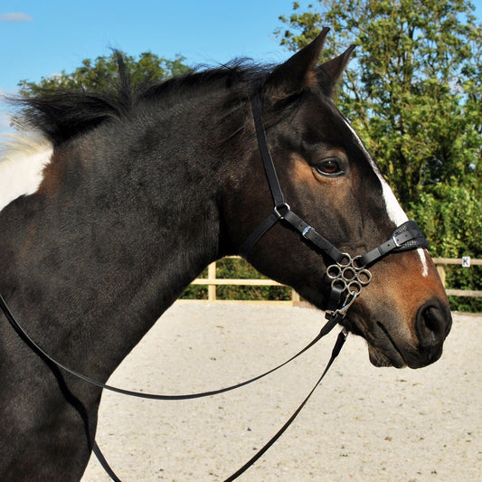 *Starter set* hackamore bridle