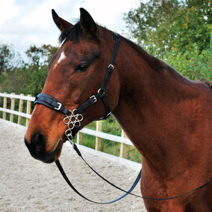 Hackamore bridle (BioThane)