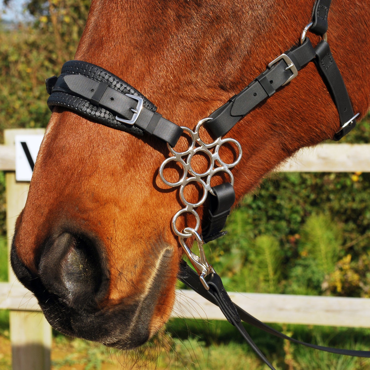 Noseband set (BioThane)