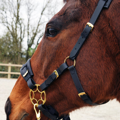 BioThane hackamore bridle (custom order)