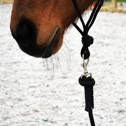 Rope halter and lead set