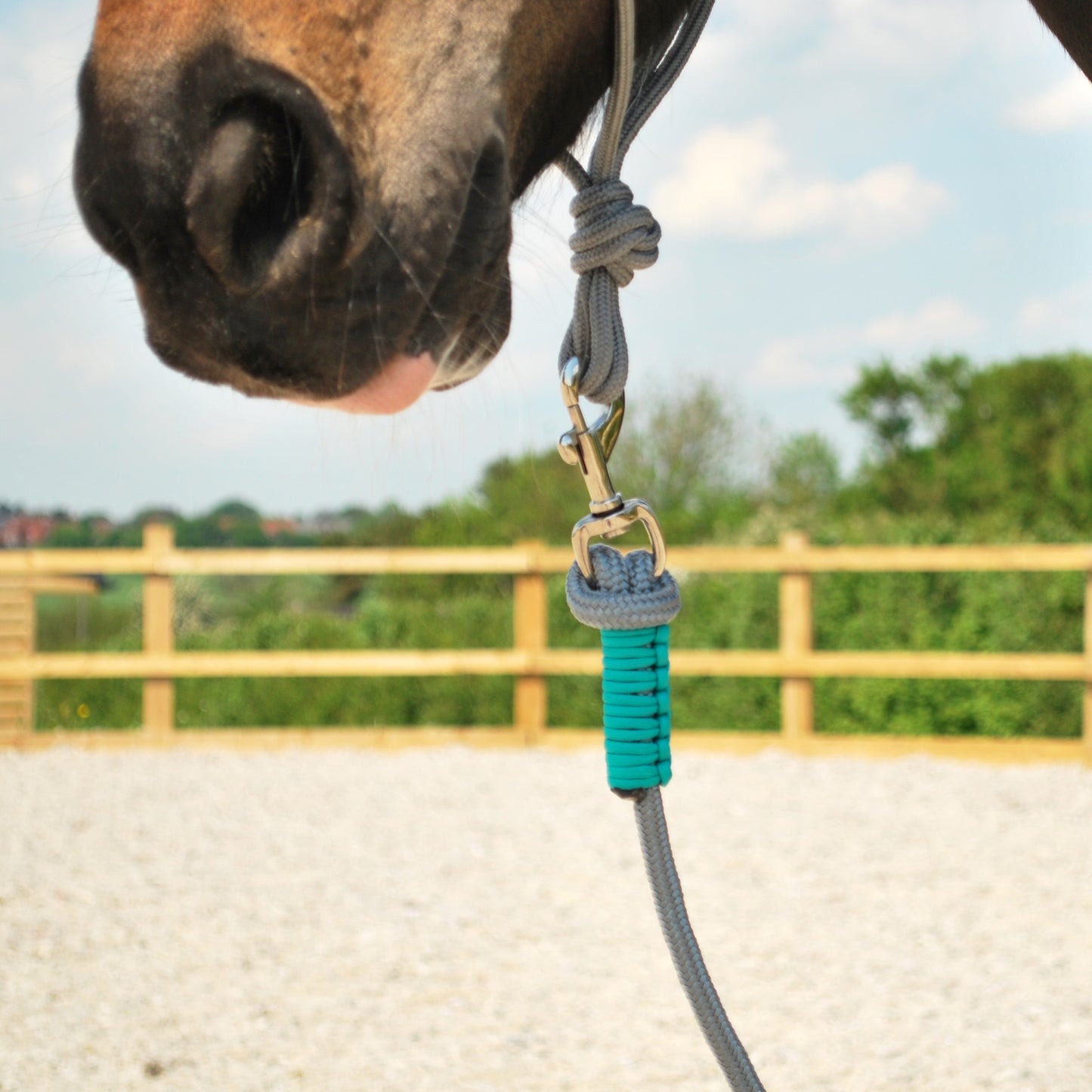 Rope halter and lead set