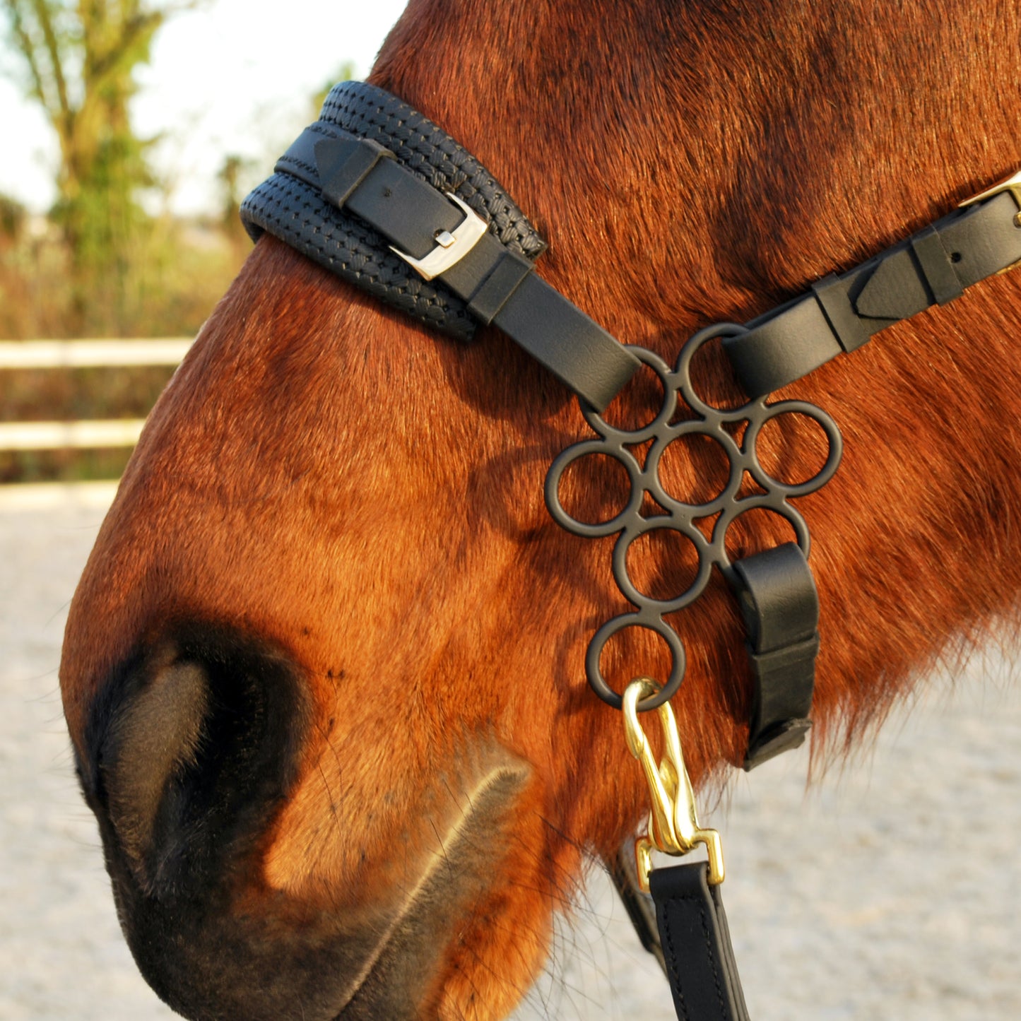 Flower hackamore shanks