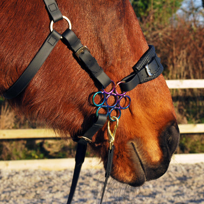 Flower hackamore shanks