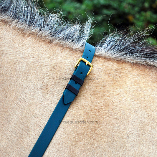 Neck strap (custom order)