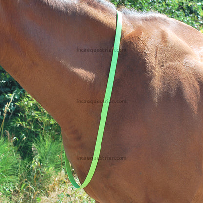 Neck strap