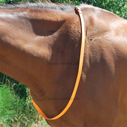 Neck strap